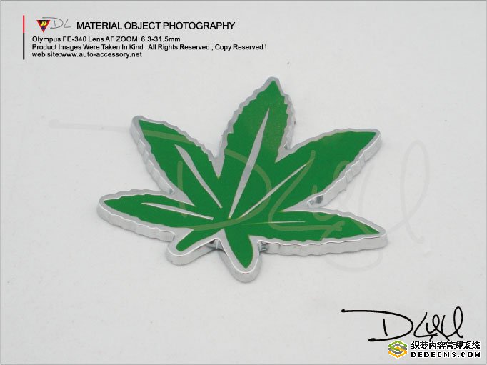 DL-LOGO002G car logo